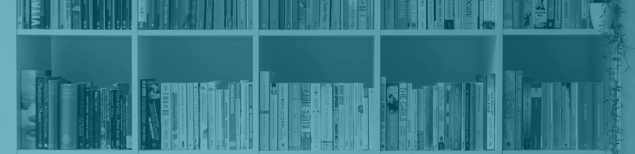 Sanal Ofis Blog Kutuphane